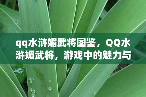 qq水浒媚武将图鉴，QQ水浒媚武将，游戏中的魅力与策略