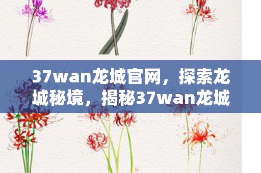 37wan龙城官网，探索龙城秘境，揭秘37wan龙城背后的故事与魅力