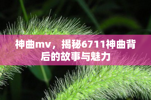 神曲mv，揭秘6711神曲背后的故事与魅力