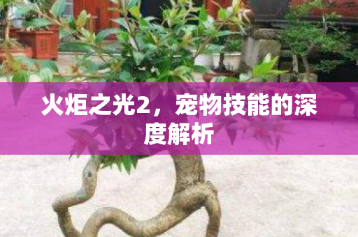 火炬之光2，宠物技能的深度解析