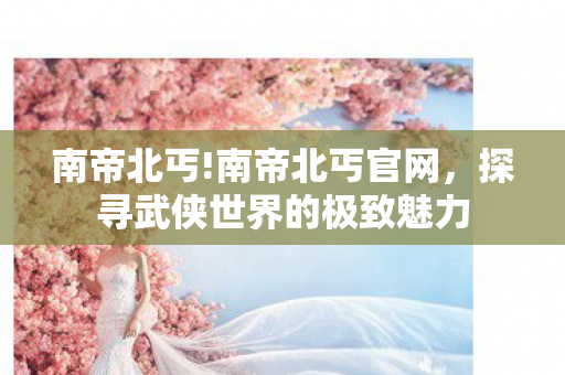 南帝北丐!南帝北丐官网，探寻武侠世界的极致魅力