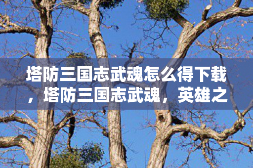 塔防三国志武魂怎么得下载，塔防三国志武魂，英雄之魂的觉醒与策略深度解析