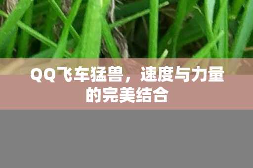 QQ飞车猛兽，速度与力量的完美结合