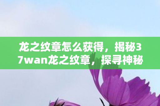 龙之纹章怎么获得，揭秘37wan龙之纹章，探寻神秘世界的纹章之谜