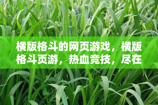 横版格斗的网页游戏，横版格斗页游，热血竞技，尽在此处