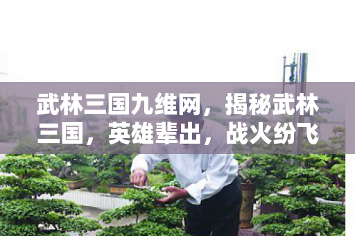 武林三国九维网，揭秘武林三国，英雄辈出，战火纷飞的辉煌时代