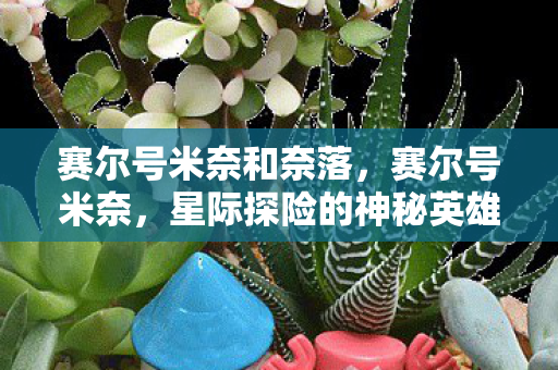 赛尔号米奈和奈落，赛尔号米奈，星际探险的神秘英雄