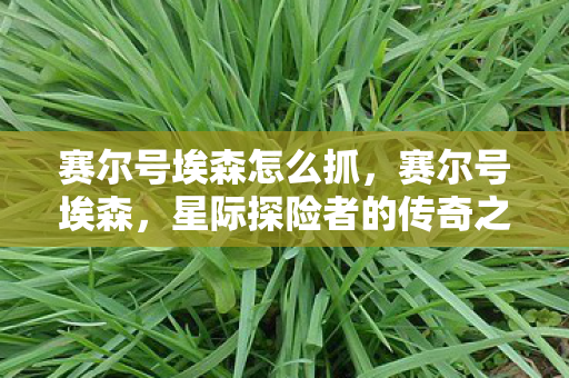 赛尔号埃森怎么抓，赛尔号埃森，星际探险者的传奇之旅