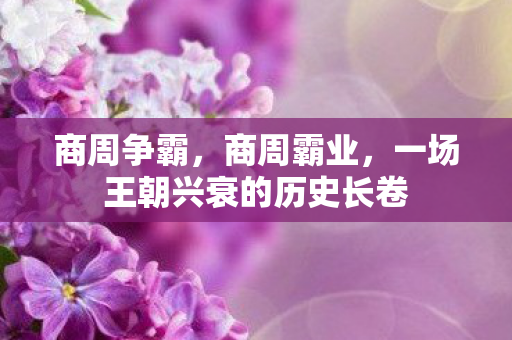 商周争霸，商周霸业，一场王朝兴衰的历史长卷