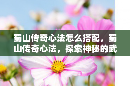 蜀山传奇心法怎么搭配，蜀山传奇心法，探索神秘的武侠世界