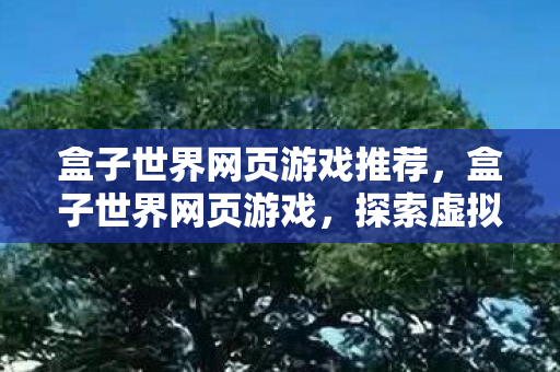 盒子世界网页游戏推荐，盒子世界网页游戏，探索虚拟世界的乐趣