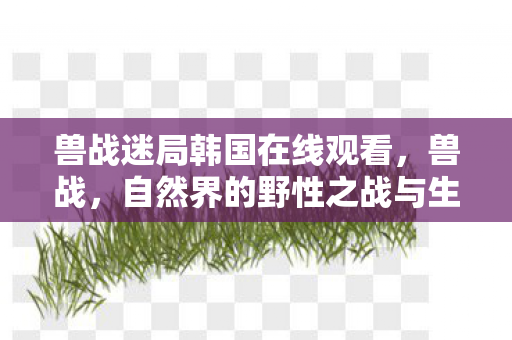 兽战迷局韩国在线观看，兽战，自然界的野性之战与生态平衡的重要性