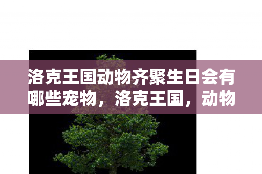 洛克王国动物齐聚生日会有哪些宠物，洛克王国，动物齐聚生日会的欢乐时光