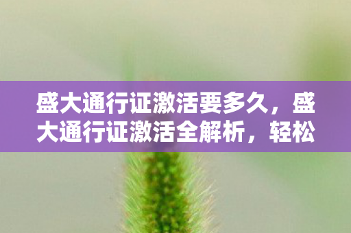 盛大通行证激活要多久，盛大通行证激活全解析，轻松搞定，畅享服务！