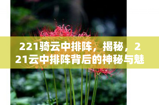 221骑云中排阵，揭秘，221云中排阵背后的神秘与魅力