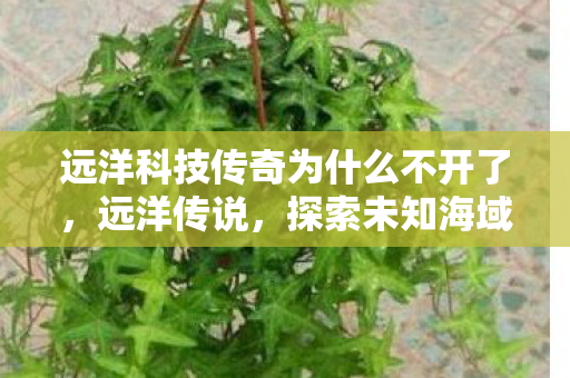 远洋科技传奇为什么不开了，远洋传说，探索未知海域的传奇之旅