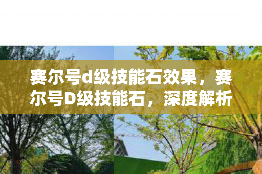 赛尔号d级技能石效果，赛尔号D级技能石，深度解析与实战应用