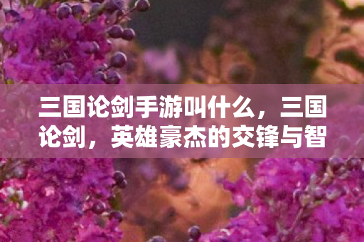 三国论剑手游叫什么，三国论剑，英雄豪杰的交锋与智慧的较量