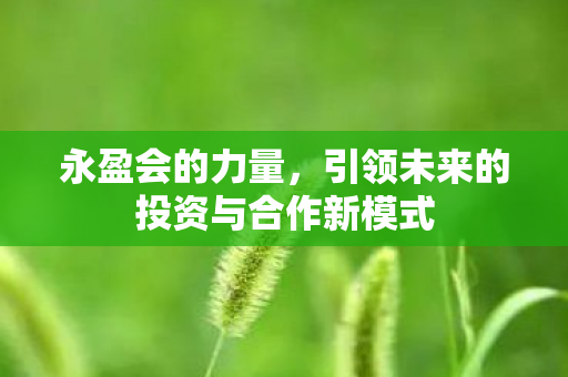 永盈会的力量，引领未来的投资与合作新模式