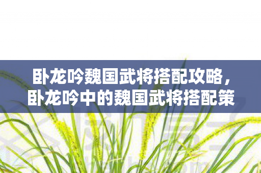 卧龙吟魏国武将搭配攻略，卧龙吟中的魏国武将搭配策略