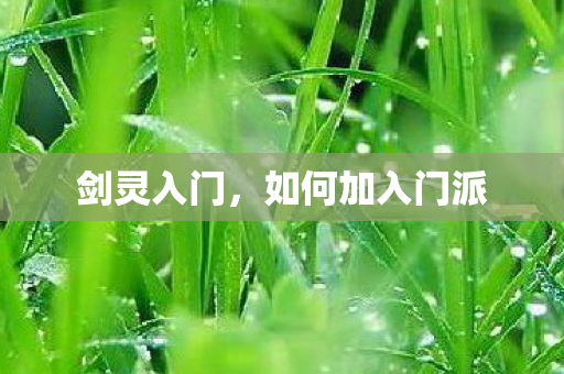 剑灵入门，如何加入门派