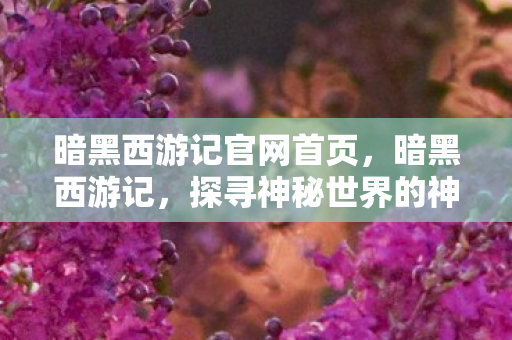 暗黑西游记官网首页，暗黑西游记，探寻神秘世界的神秘之旅