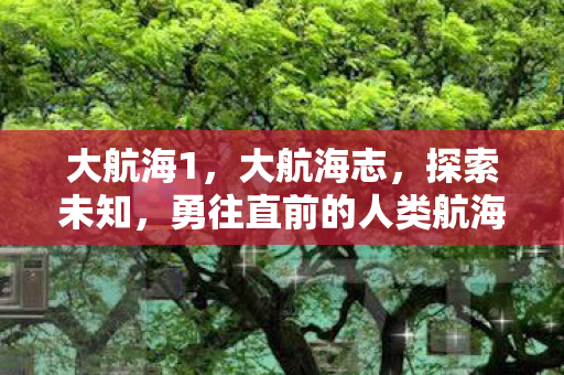 大航海1，大航海志，探索未知，勇往直前的人类航海史