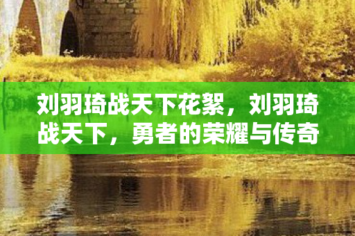 刘羽琦战天下花絮，刘羽琦战天下，勇者的荣耀与传奇的续写