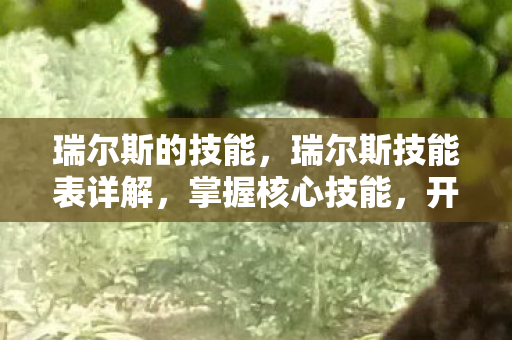 瑞尔斯的技能，瑞尔斯技能表详解，掌握核心技能，开启冒险之旅