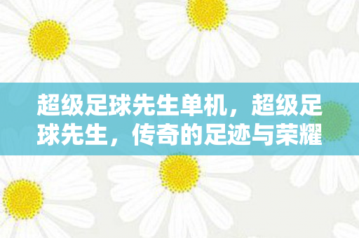 超级足球先生单机，超级足球先生，传奇的足迹与荣耀的篇章