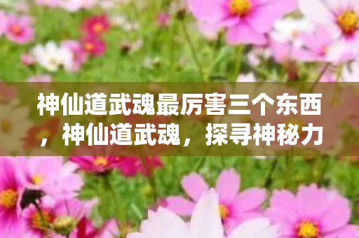 神仙道武魂最厉害三个东西，神仙道武魂，探寻神秘力量的奥秘