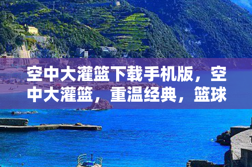 空中大灌篮下载手机版，空中大灌篮，重温经典，篮球与动画的完美结合