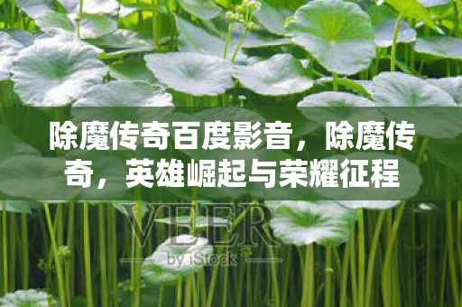 除魔传奇百度影音，除魔传奇，英雄崛起与荣耀征程