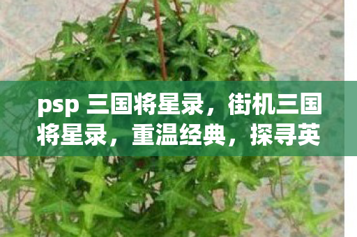 psp 三国将星录，街机三国将星录，重温经典，探寻英雄传奇