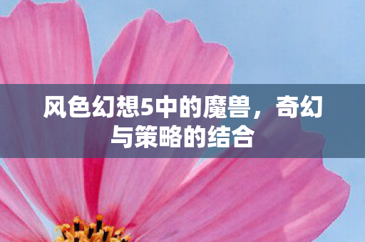 风色幻想5中的魔兽，奇幻与策略的结合