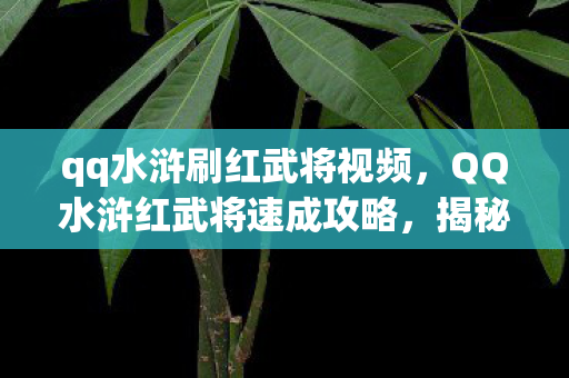 qq水浒刷红武将视频，QQ水浒红武将速成攻略，揭秘高效刷红武将的方法