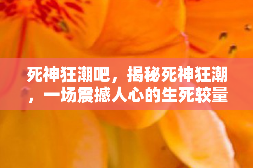 死神狂潮吧，揭秘死神狂潮，一场震撼人心的生死较量