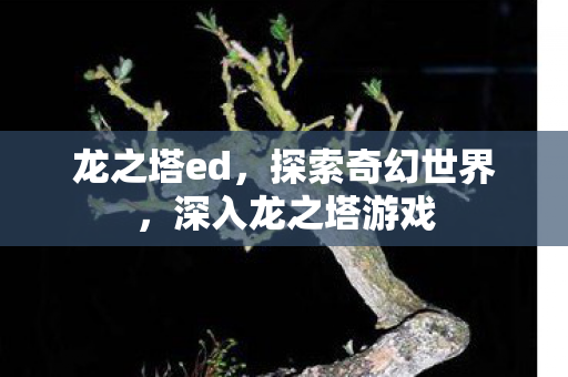 龙之塔ed，探索奇幻世界，深入龙之塔游戏