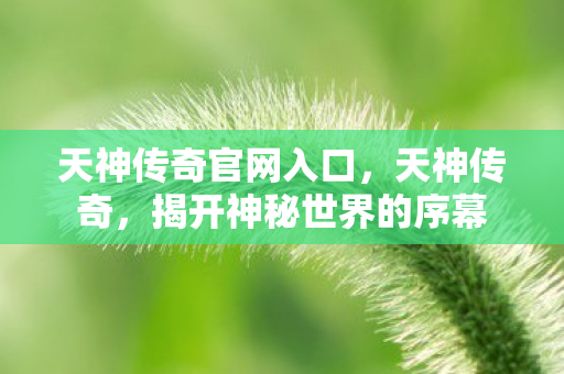 天神传奇官网入口，天神传奇，揭开神秘世界的序幕
