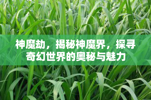 神魔劫，揭秘神魔界，探寻奇幻世界的奥秘与魅力