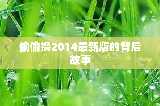 偷偷撸2014最新版的背后故事