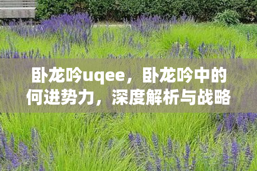 卧龙吟uqee，卧龙吟中的何进势力，深度解析与战略探讨