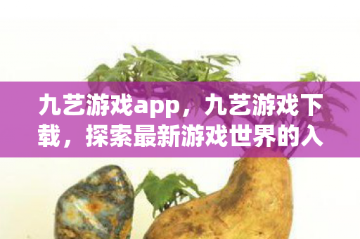 九艺游戏app，九艺游戏下载，探索最新游戏世界的入口