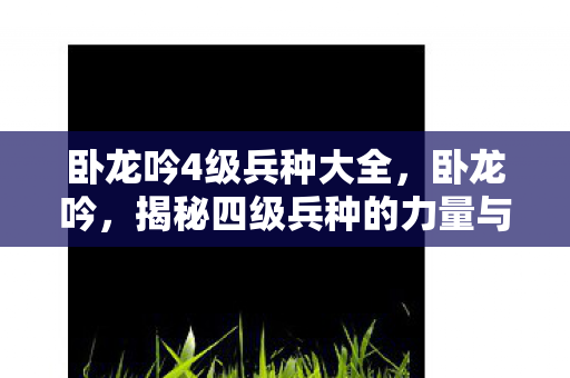卧龙吟4级兵种大全，卧龙吟，揭秘四级兵种的力量与策略