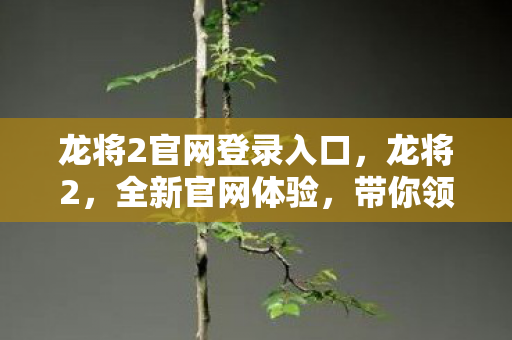 龙将2官网登录入口，龙将2，全新官网体验，带你领略不一样的游戏世界