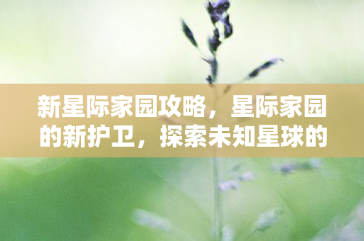 新星际家园攻略，星际家园的新护卫，探索未知星球的奇迹与挑战