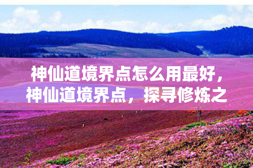 神仙道境界点怎么用最好，神仙道境界点，探寻修炼之巅的奥秘