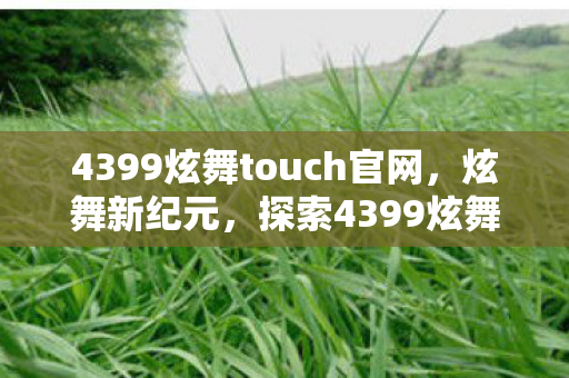 4399炫舞touch官网，炫舞新纪元，探索4399炫舞Touch的独特魅力