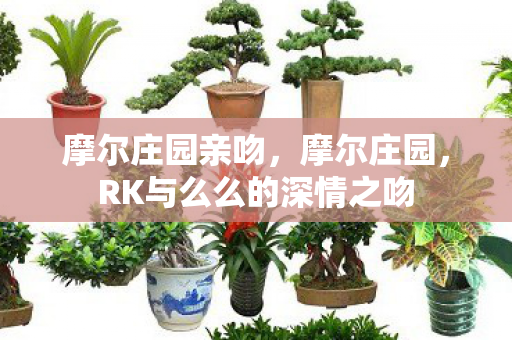 摩尔庄园亲吻，摩尔庄园，RK与么么的深情之吻