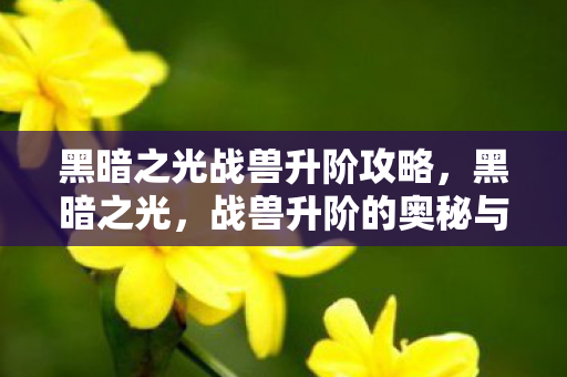 黑暗之光战兽升阶攻略，黑暗之光，战兽升阶的奥秘与策略